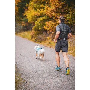 Non-stop dogwear Trekking belt 2.0 violetti