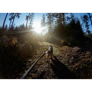 Non-stop dogwear Touring Bungee Leash 13 mm 2,8 m