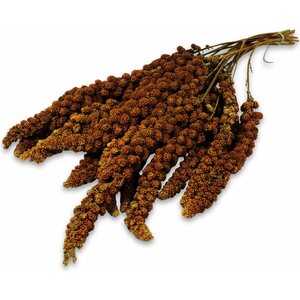 JR Farm Hirssintähkä punainen 250 g