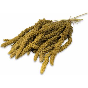 JR Farm Hirssintähkä keltainen 250 g