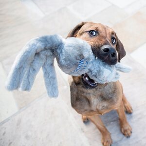 Kong Wubba Friends L 41 cm