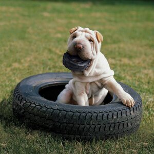 Kong Traxx Tyres Extreme S 9 cm