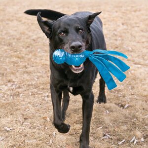 Kong Wubba Comet S 22 cm