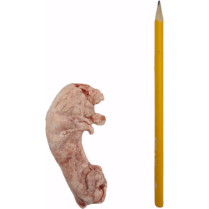 Tessu Broilerin kaulat 4 kg Ennakkotilaus