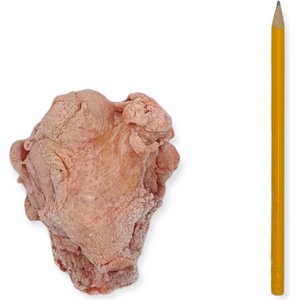 Tessu Broilerin Selkäranka 4 kg Ennakkotilaus