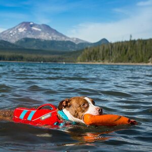 RuffWear Float Coat Pelastusliivi