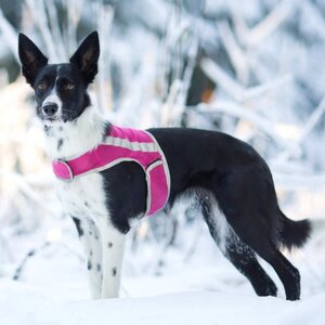 Brava ATTE huomioliivi pinkki