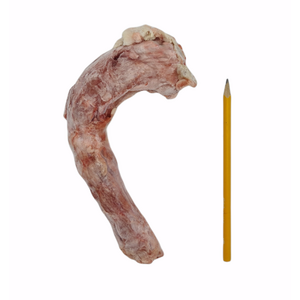 Tessu Kalkkunan Kaula 4 kg