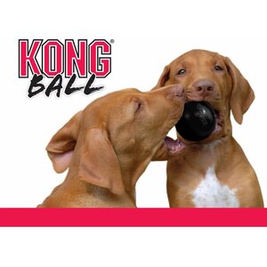 Kong Ball Extreme M/L 7,5 cm