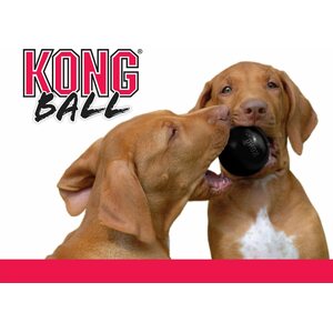 Kong Ball Extreme S 6,3 cm