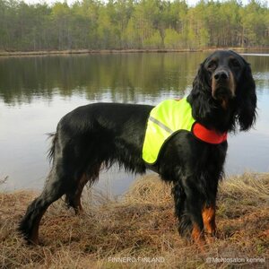 FINNERO UKKO Signal Vest Metsästysliivi, kaksivärinen
