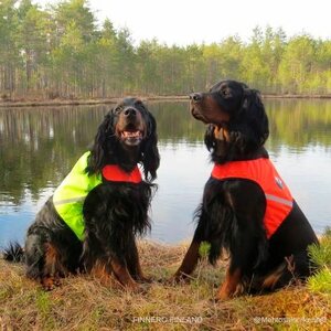 FINNERO UKKO Signal Vest Metsästysliivi, kaksivärinen