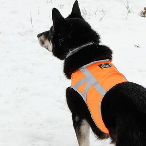 Kivalo Kaamos huomioliivi pinkki