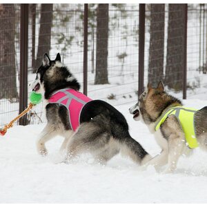 Kivalo Kaamos huomioliivi pinkki