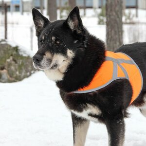 Kivalo Kaamos huomioliivi oranssi