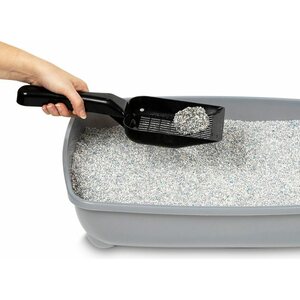 Ever Clean Litterfree Paws kissanhiekka 10 l