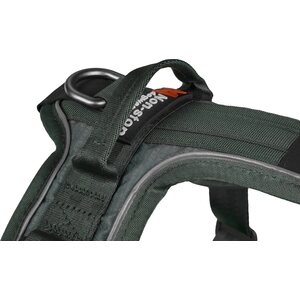 Non-stop dogwear Ramble harness oranssi/musta