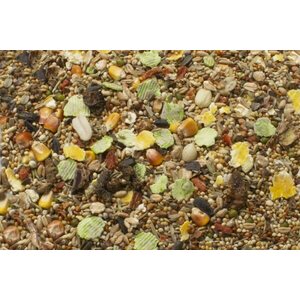 JR Farm Gerbiilin täysravinto 600 g
