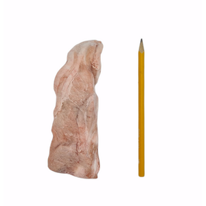 Tessu Sianrustot 1 kg