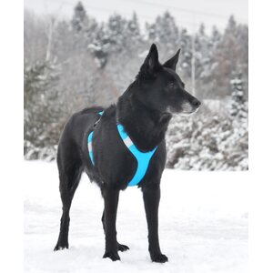Zero DC Short valjaat keltainen