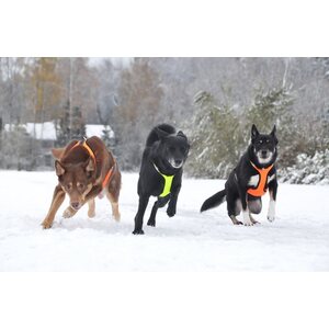 Zero DC Short valjaat keltainen