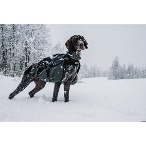 Non-stop dogwear Amundsen pack