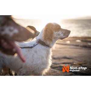 Non-stop dogwear Roam Collar vihreä