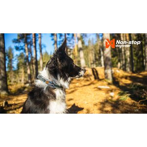 Non-stop dogwear Roam Collar sininen