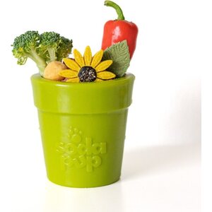 Sodapup Flower Pot Large