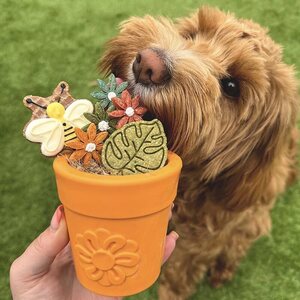 Sodapup Flower Pot Large