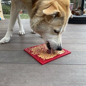 Sodapup Lickmat Large 20 x 20 cm - eri kuoseja