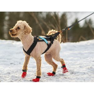 Non-stop dogwear Freemotion harness 5.0 teal