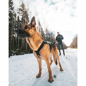 Non-stop dogwear Freemotion harness 5.0 teal