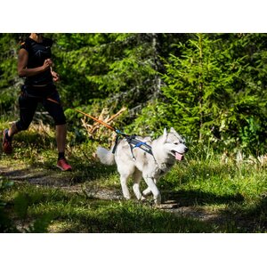 Non-stop dogwear Freemotion harness 5.0 teal