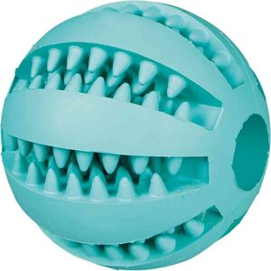 Trixie Denta Fun pallo mintunmakuinen ø 5 cm