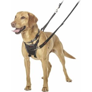 Halti No Pull Harness Vedonestovaljaat