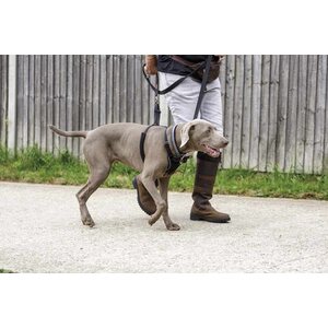 Halti No Pull Harness Vedonestovaljaat