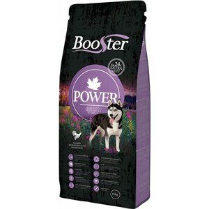 Food for active dogs