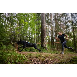 Non-stop dogwear Bungee Leash 2.0 2,8 m