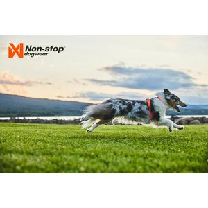 Non-stop dogwear Line harness 5.0 oranssi