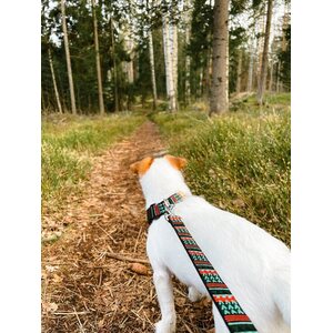 Woolly Wolf Woodland koiran talutushihna 150 cm