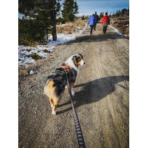 Non-stop dogwear Touring Bungee Leash 23 mm 2,8 m