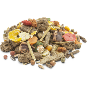 Versele Laga Crispy Muesli ruoka kanille 1 kg