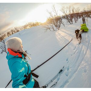 Non-stop dogwear Touring Bungee Leash 23 mm 2,8 m