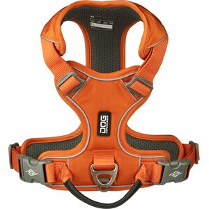 Dog Copenhagen Walk Pro 3.0 valjaat oranssi
