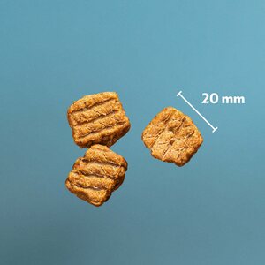 PrimaDog Northern Treats Kalkkunapala 150 g