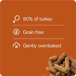 RAUH! Turkey Treat 100 g