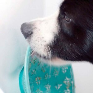LickiMat Splash virikekuppi 20 cm