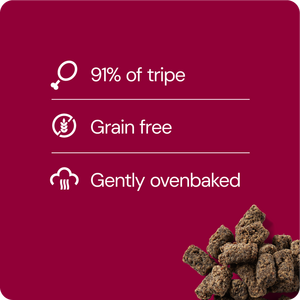 RAUH! Tripe Treat 100 g
