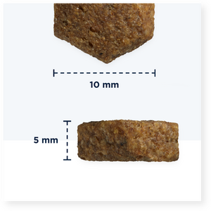 Eukanuba Dog Grain Free Puppy Small & Medium Ocean Fish koiran kuivaruoka 12 kg